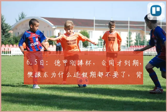 6.5日：德甲刚捧杯，合同才到期，樊振东为什么连假期都不要了，背着包直接回了东方绿舟？_萨尔布吕肯_决赛_蒙彼利埃