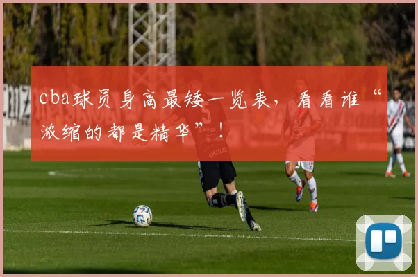 cba球员身高最矮一览表，看看谁“浓缩的都是精华”！