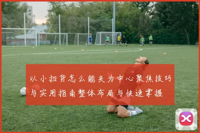 以小扫货怎么能夹为中心聚焦技巧与实用指南整体布局与快速掌握