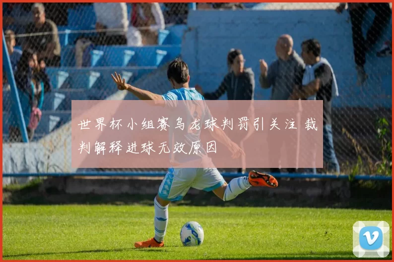 世界杯小组赛乌龙球判罚引关注 裁判解释进球无效原因