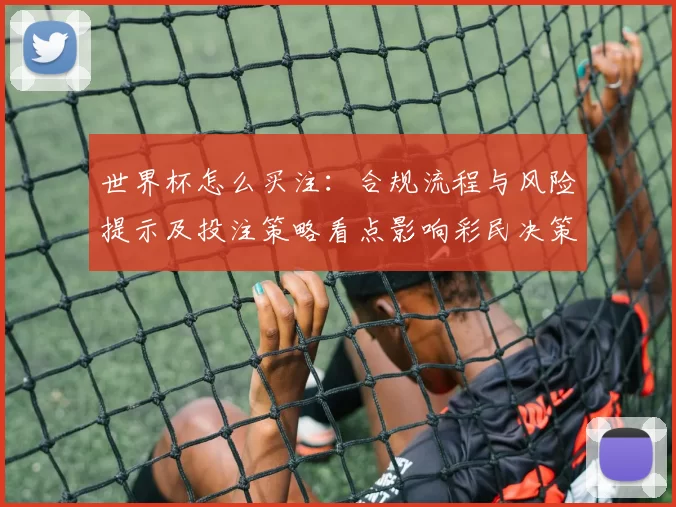 世界杯怎么买注：合规流程与风险提示及投注策略看点影响彩民决策