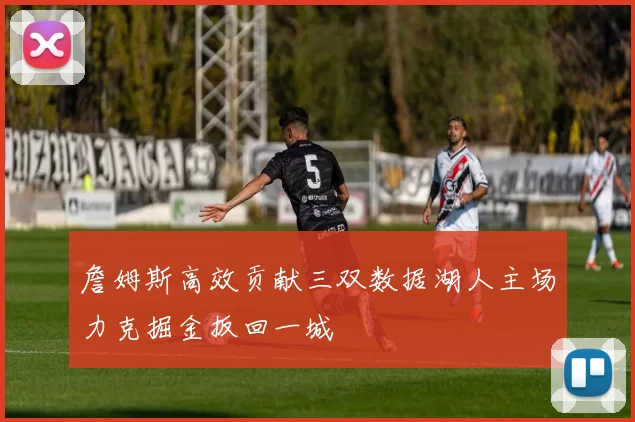 詹姆斯高效贡献三双数据湖人主场力克掘金扳回一城