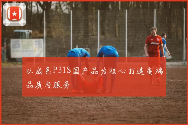 以成色P31S国产品为核心打造高端品质与服务